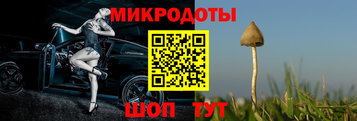 Галлюциногенные грибы GOLDEN TEACHER Медногорск
